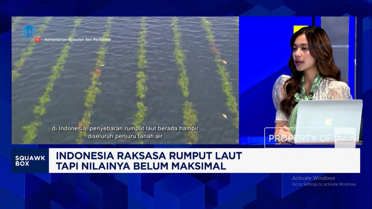 Government Pushes for Downstreaming of National Seaweed Industry