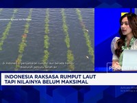 RI Produsen Raksasa Rumput Laut Tapi Masih Diekspor Mentah, Hilirisasi Mendesak!