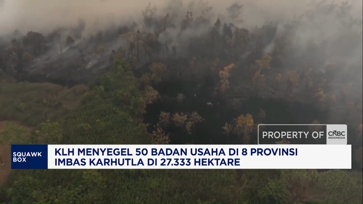 KLH Menyegel 50 Badan Usaha di 8 Provinsi Imbas Karhutla di 27.333 H