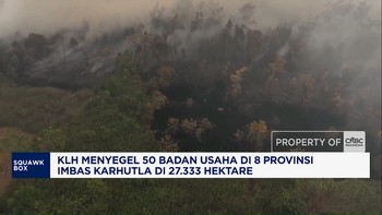 Suahasil Perintahkan Bea Cukai Terus Menggempur Peredaran Rokok Ilegal