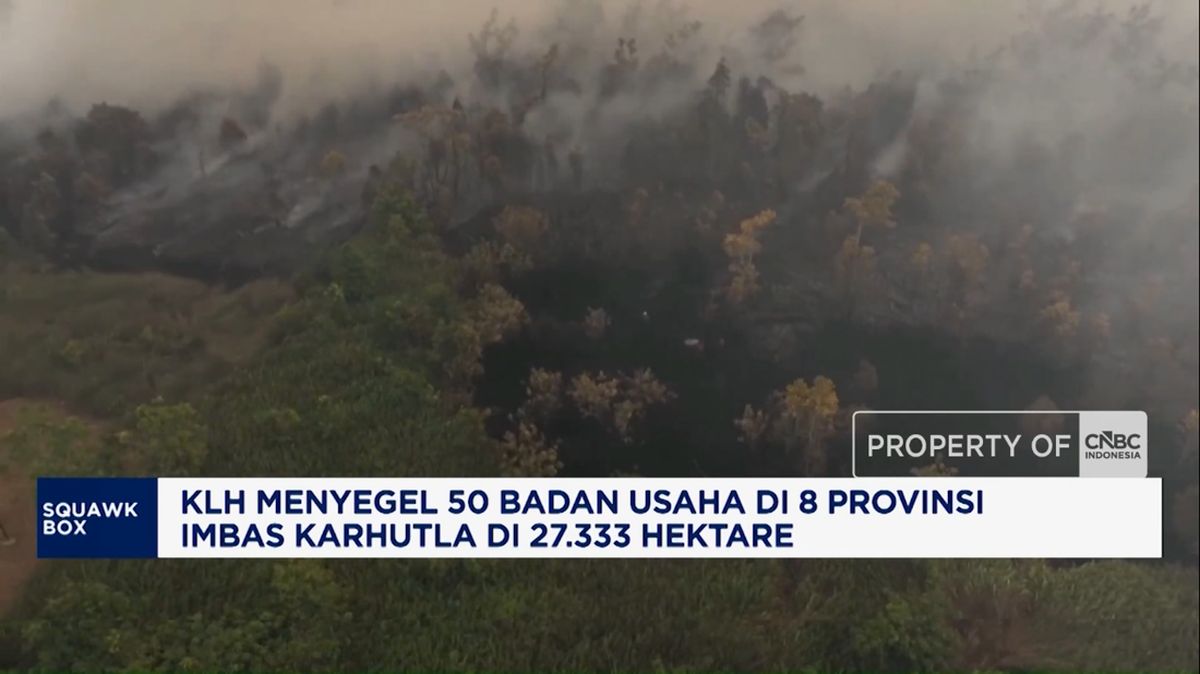 Ministry of Environment Seals 50 Companies Due to Forest Fires