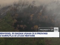 Suahasil Perintahkan Bea Cukai Terus Menggempur Peredaran Rokok Ilegal