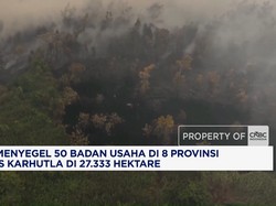 Suahasil Perintahkan Bea Cukai Terus Menggempur Peredaran Rokok Ilegal