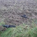 Debris of what, according to the Lithuanian national crisis management centre, was a drone shot down by a NATO fighter jet, lies on the ground near Pratkunai village, Lithuania, September 15, 2026, in this screengrab from a handout video. Lithuanian