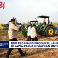 BBM E20 Mau Diproduksi, Lahan Tebu 2 Juta Ha di Jawa-Papua Disiapkan