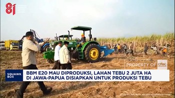BBM E20 Mau Diproduksi, Lahan Tebu 2 Juta Ha di Jawa-Papua Disiapkan