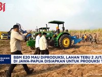 BBM E20 Mau Diproduksi, Lahan Tebu 2 Juta Ha di Jawa-Papua Disiapkan