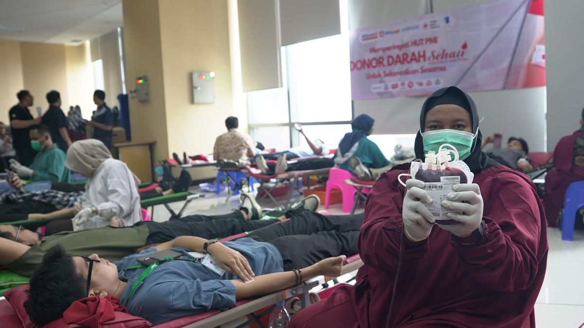 Libatkan Karyawan, Alfamart Gelar Aksi Donor Darah di 28 Lokasi