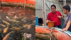 Usai Tak Jadi Menkeu, Purbaya Punya Kesibukan Baru: Budidaya Ikan Nila