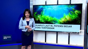 Rumput Laut RI, Potensi Besar Yang Terpendam