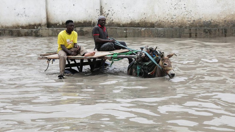 Sebuah kereta keledai menerjang genangan banjir di sepanjang jalan Km4 setelah hujan deras di Mogadishu, Somalia, pada 16 September 2026.