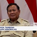 Tambang Ilegal Bikin Negara Kebobolan