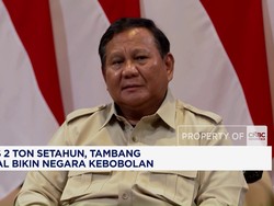 Tambang Ilegal Bikin Negara Kebobolan