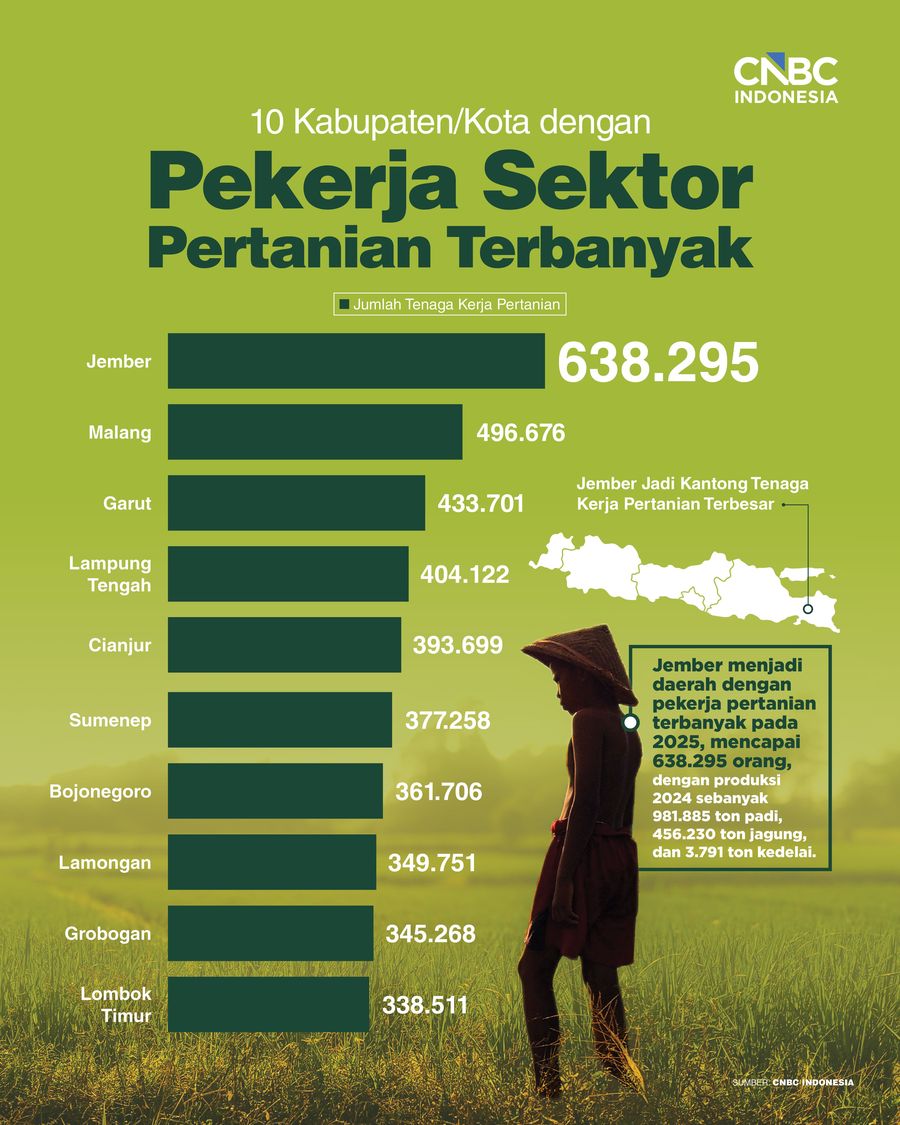 10 Kabupaten/Kota dengan Pekerja Sektor Pertanian Terbanyak Infografis/ 10 Kabupaten/Kota dengan Pekerja Sektor Pertanian Terbanyak/ Ilham Restu