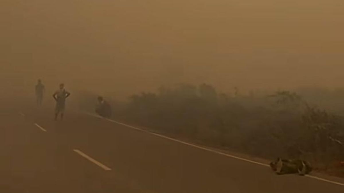 Terdampak Karhutla, KLH Sebut Kualitas Udara di Kalteng-Kalsel Berbahaya