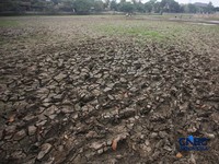 Danau Cinere, Depok, Jawa Barat, tampak kering pada pantauan hari Jumat (18/9/2026). (CNBC Indonesia/Faisal Rahman)