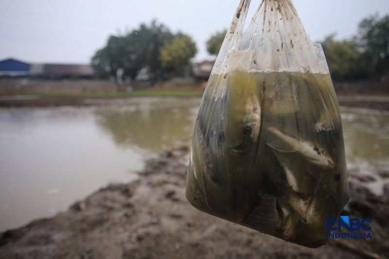 Danau Cinere, Depok, Jawa Barat, tampak kering pada pantauan hari Jumat (18/9/2026). (CNBC Indonesia/Faisal Rahman)