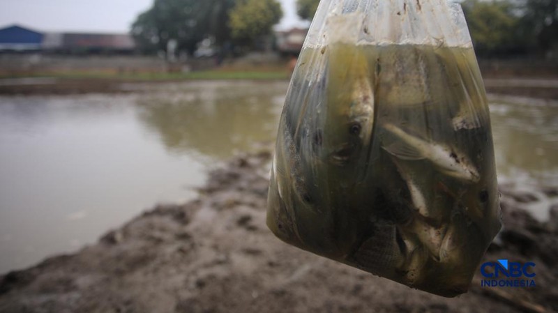 Danau Cinere, Depok, Jawa Barat, tampak kering pada pantauan hari Jumat (18/9/2026).