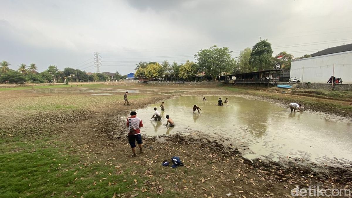 Kemarau Bikin Danau di Cinere Depok Kering, Warga Ramai Cari Ikan