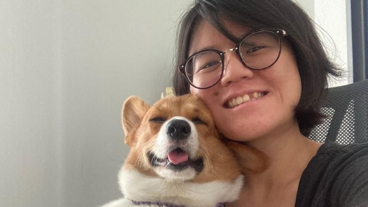 Bantu Anjing Telantar Cari Keluarga Baru, Relawan RI Manfaatkan ChatGPT