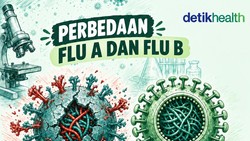 Infografis: Influenza Tipe A dan B, Apa Saja Sih Bedanya?