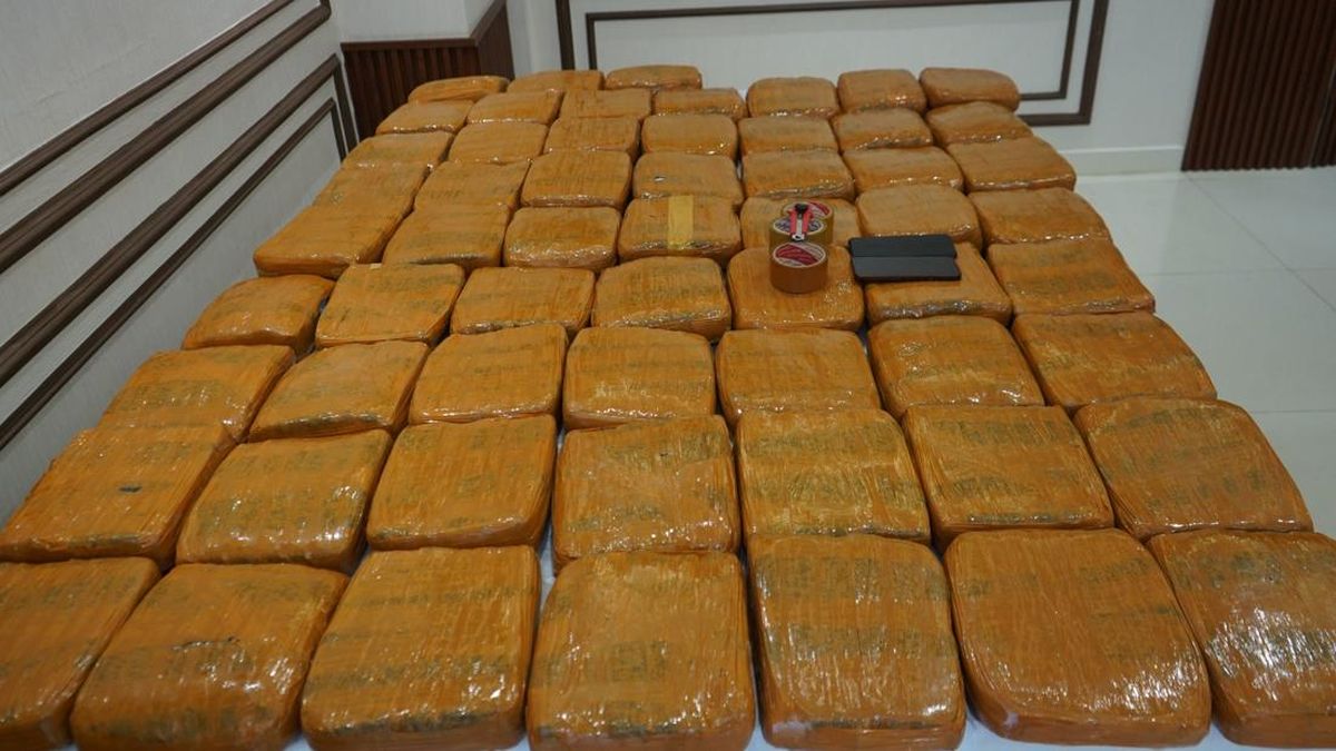 Polda Metro Gagalkan Peredaran Narkoba di Jakbar, Sita 62,5 Kg Ganja