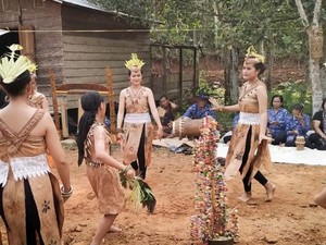 Kamus Kosakata Bahasa Paser Kaltim Sehari-hari