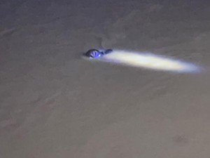 Mobil Terjun ke Sungai di Langkat, 3 Orang Tewas