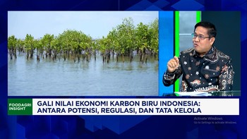 Cegah Ubah Fungsi Lahan Mangrove & Perkuat Pasar Karbon, KKP Libatkan Penduduk Lokal Olah Ekonomi Pesisir
