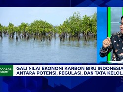 Cegah Ubah Fungsi Lahan Mangrove & Perkuat Pasar Karbon, KKP Libatkan Penduduk Lokal Olah Ekonomi Pesisir