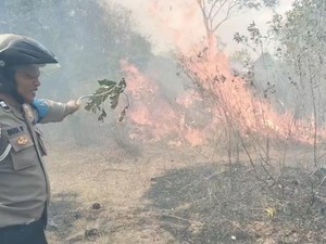 Medan Sulit dan Air Kering Hambat Pemadaman di TN Way Kambas