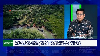 KKP Gali Potensi Ekonomi Karbon Biru, Bisa Hasilkan Rp 77 Juta per Hektare