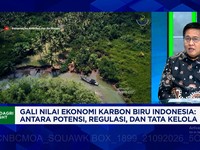 KKP Gali Potensi Ekonomi Karbon Biru, Bisa Hasilkan Rp 77 Juta per Hektare