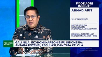 KKP Gali Potensi Ekonomi Karbon Biru, Bisa Hasilkan Rp 77 Juta per Hektare