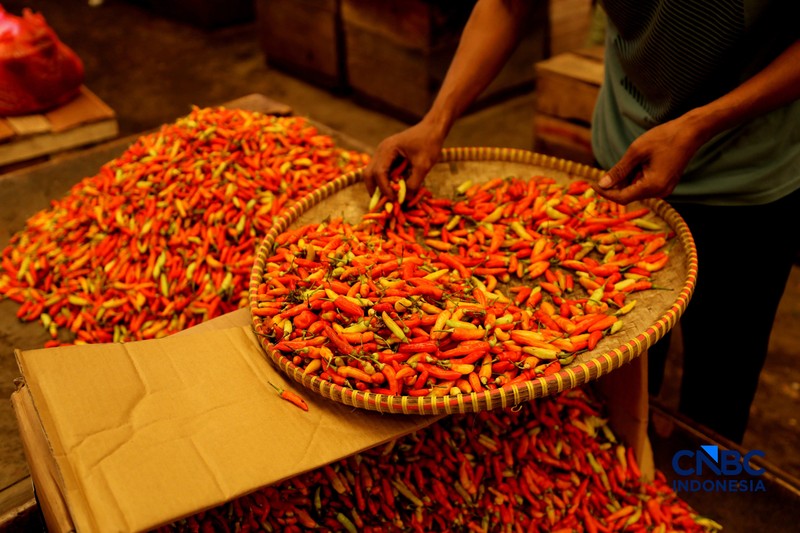 Pedagang cabai menunggu pembeli di Pasar Kramat Jati, Jakarta, Senin (21/8/2026). (CNBC Indonesia/Tri Susilo)