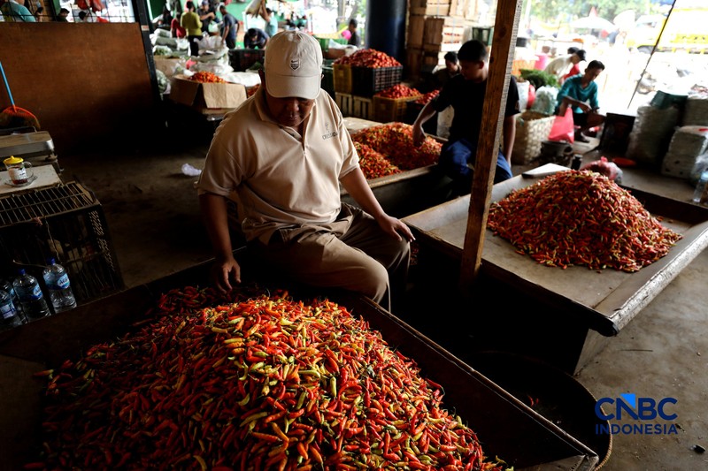 Pedagang cabai menunggu pembeli di Pasar Kramat Jati, Jakarta, Senin (21/8/2026). (CNBC Indonesia/Tri Susilo)
