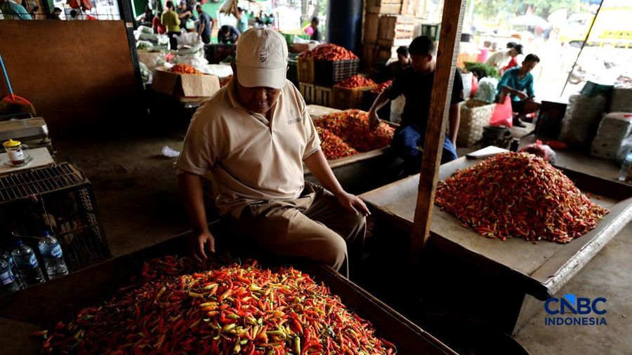Pedagang cabai menunggu pembeli di Pasar Kramat Jati, Jakarta, Senin (21/8/2026). (CNBC Indonesia/Tri Susilo)