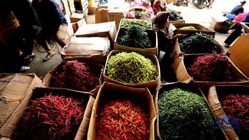 Pedagang cabai menunggu pembeli di Pasar Kramat Jati, Jakarta, Senin (21/8/2026). (CNBC Indonesia/Tri Susilo)