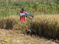 Petani di Wonogiri (Dok Istimewa)