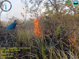 14 Ribu Hektare TN Tambora Terbakar, Siapa Dalangnya?