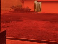 Seorang warga mengunggah video saat langit berwarna merah akibat kebakaran hutan yang melanda sejumlah wilayah di Kalimantan Tengah, Minggu (20/9/2026). (Instagram/delefia)