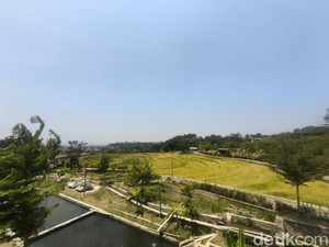 Sensasi Nongkrong Menikmati Panorama Sawah dan Lampu Kota Kuningan