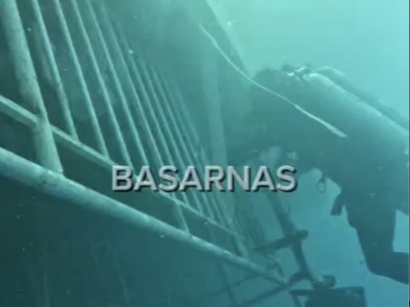 Tim penyelam Basarnas Special Group (BSG) berhasil menemukan satu korban KM Virgo Transport 8 yang tenggelam di perairan Laut Jawa, Kalimantan Selatan, pada Minggu (20/9/2026). (Dok. Basarnas)