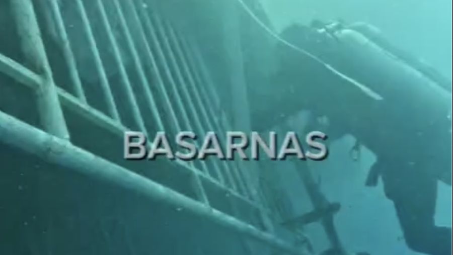 Tim penyelam Basarnas Special Group (BSG) berhasil menemukan satu korban KM Virgo Transport 8 yang tenggelam di perairan Laut Jawa, Kalimantan Selatan, pada Minggu (20/9/2026).