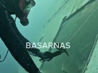 Tim penyelam Basarnas Special Group (BSG) berhasil menemukan satu korban KM Virgo Transport 8 yang tenggelam di perairan Laut Jawa, Kalimantan Selatan, pada Minggu (20/9/2026). (Dok. Basarnas)