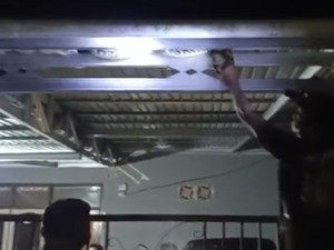 Ngeri, Ular Piton Nangkring di Kanopi Rumah Warga Parimo