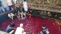 Terungkap Penyebab Air Kolam Jadi Merah yang Bikin Heboh Gunung Sindur