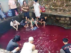Warna Air Kolam Gunung Sindur Bogor Tiba-tiba Menjadi Merah