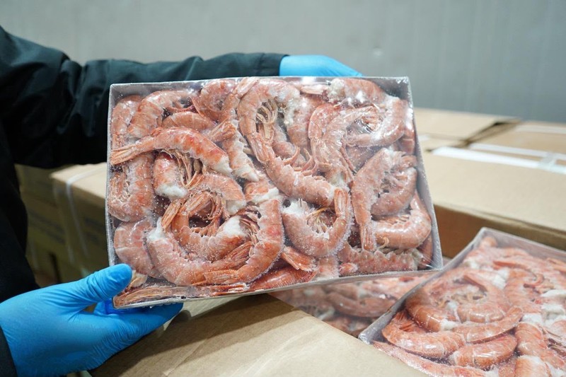 Kementerian Kelautan dan Perikanan (KKP) mengamankan sebanyak 1.048 ton udang impor yang diduga tidak sesuai peruntukan dan tersebar di sejumlah wilayah Jawa Timur. (Dok. Humas KKP)