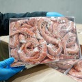 Kementerian Kelautan dan Perikanan (KKP) mengamankan sebanyak 1.048 ton udang impor yang diduga tidak sesuai peruntukan dan tersebar di sejumlah wilayah Jawa Timur. (Dok. Humas KKP)